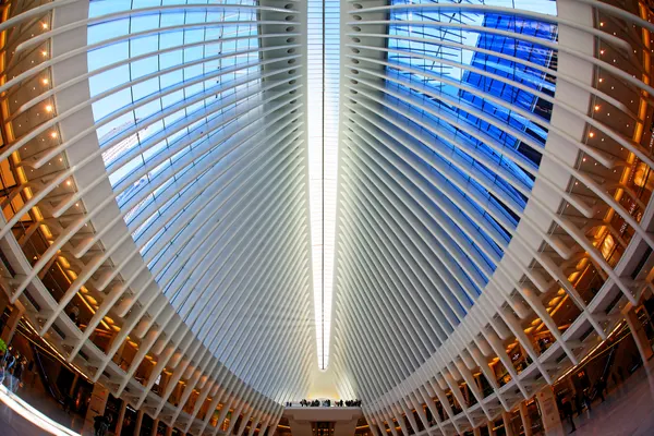 Bright Urban Atrium by Martin Fleckenstein