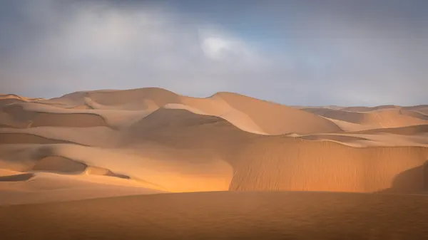 Golden Desert Dunes by Willa Wei