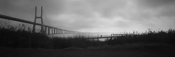 Misty Bridge Solitude by Raul Pires Coelho