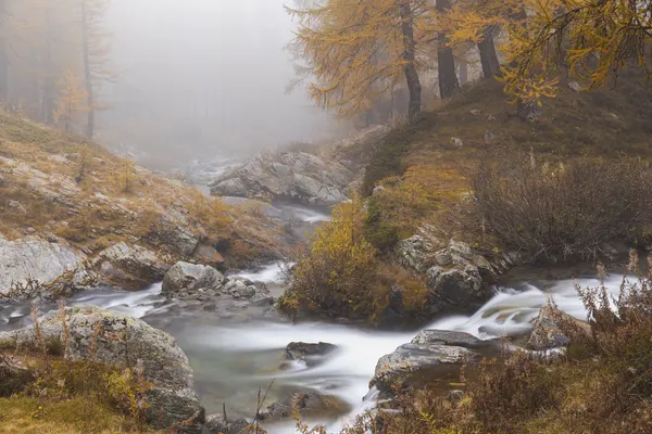 Misty Autumn Stream by ADRIAN TUDOSE
