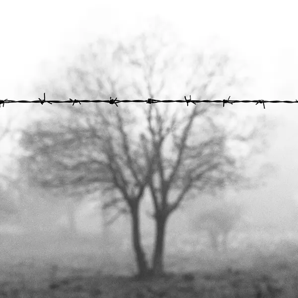 Barbed Wire Fog by Wagdi Kala