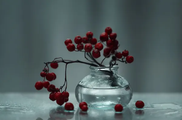 ...simply Red & Wet by Nikki Georgieva V E G A N I K