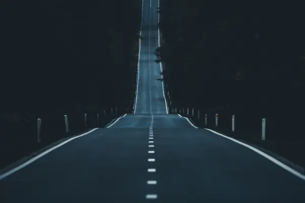 Long Road Ahead by Siamak Jalali