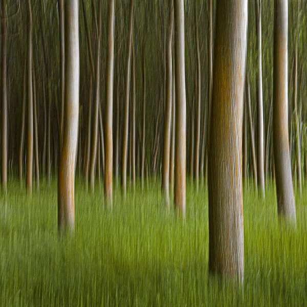 Vertical Forest Green by Juan Antonio Palacios