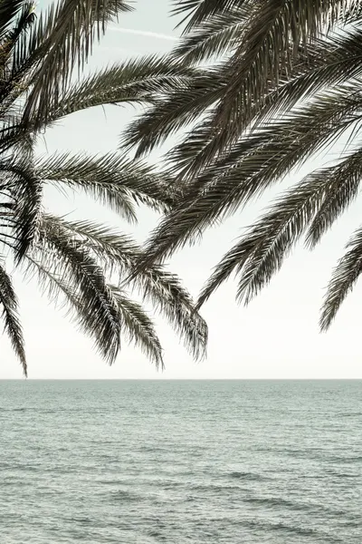 Tropical Ocean Palms by Pictufy Studio III