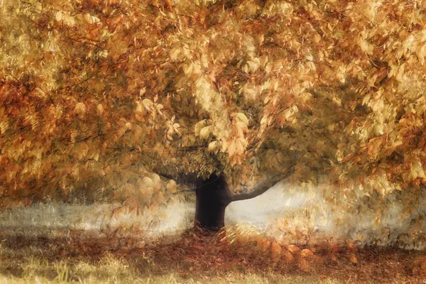 Gold colors by Nel Talen