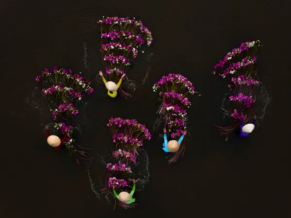 Vibrant River Flowers by HuongHoang