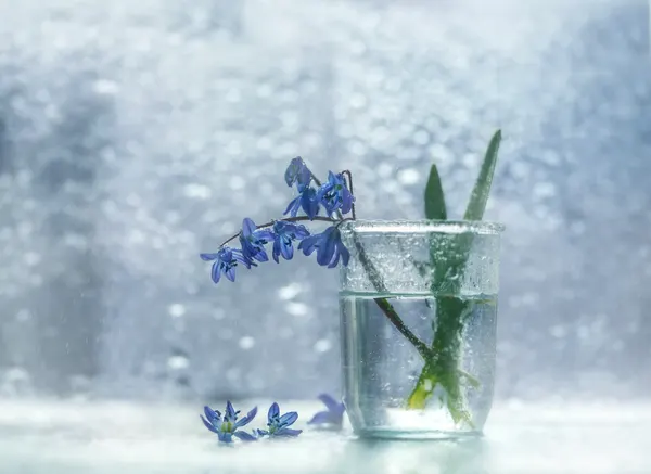 Frosted Blue Blossoms by Nikki Georgieva V E G A N I K