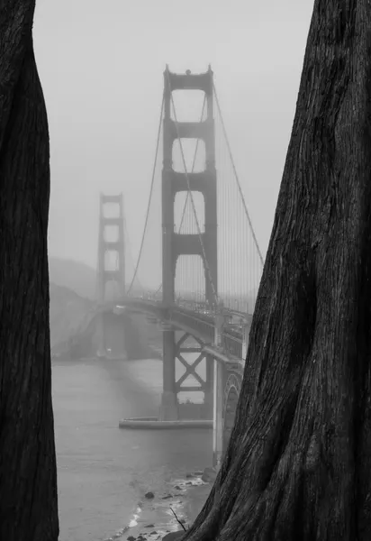 Misty Golden Gate Bridge by Tong Zhang