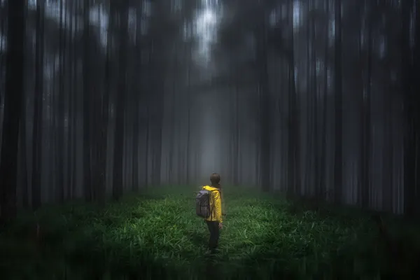 Deep Forest Adventure by Masaki Sugita
