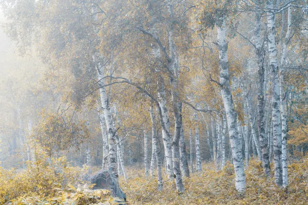 Fog spreads by Masaki Sugita