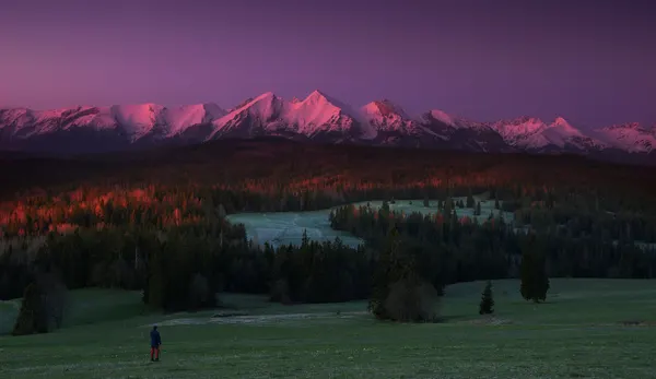 Purple Peaks Morning Glow by paralaxa