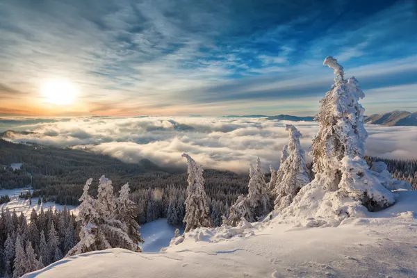 Winter Mountain Sunrise by Dan Mirica