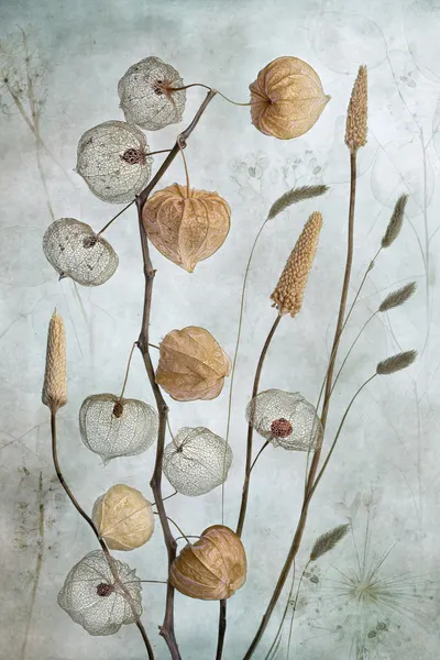 Lanterns* by Mandy Disher