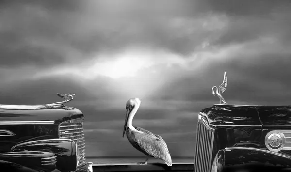 Dramatic Pelican Classics by LARRY BUTTERWORTH
