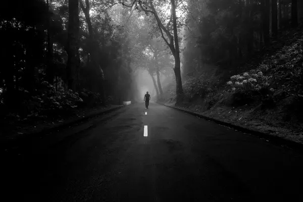 Lone Figure Foggy Road by Paulo Jorge