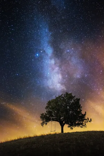 Milky Way Tree Swing by Lukáš Ildža