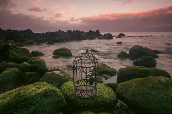 Empty Cage By The Sea by Paulo Jorge