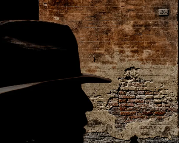 Mysterious Hat Profile by Luca Domenichi