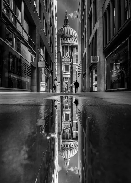 St Pauls London Reflection by Selaru Ovidiu