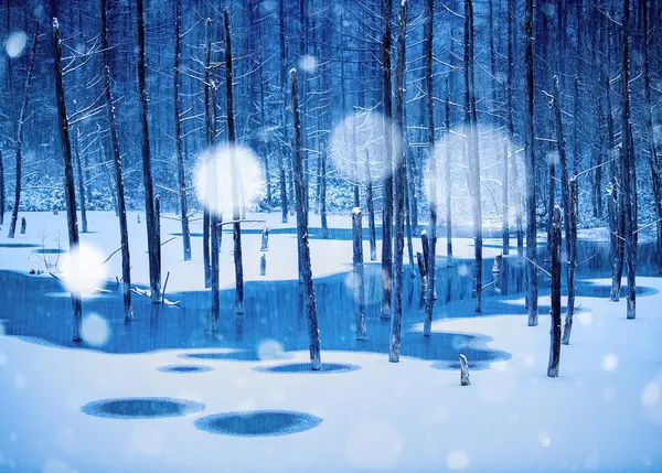 Blue Winter Pond by Hidenori Sono