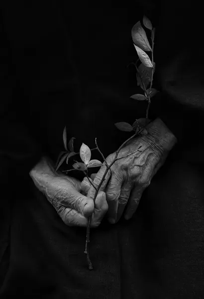 Old Hands New Life by Ingrida Urbonavičienė