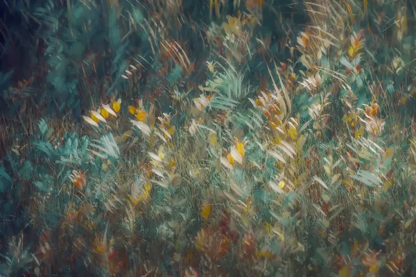 Late summer by Nel Talen