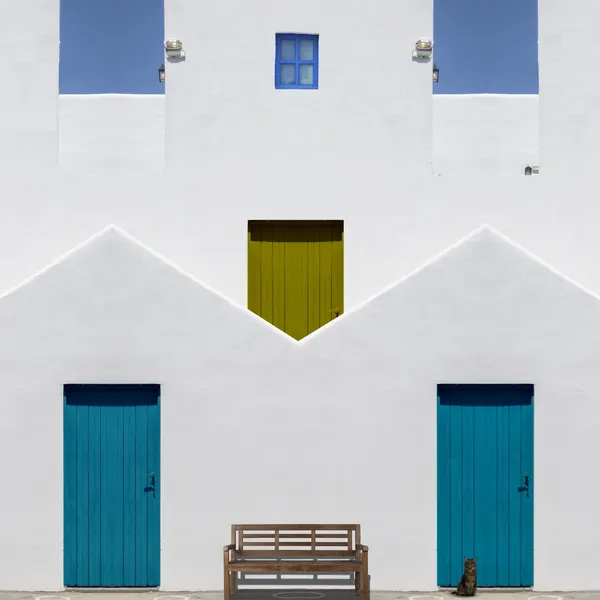 Colorful Facade Cat by Orestis