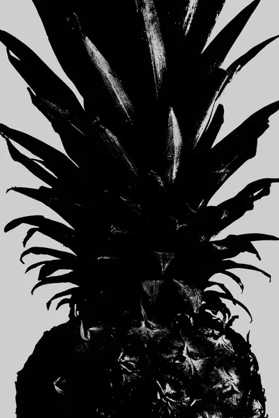 Bold Black Pineapple by Pictufy Studio III