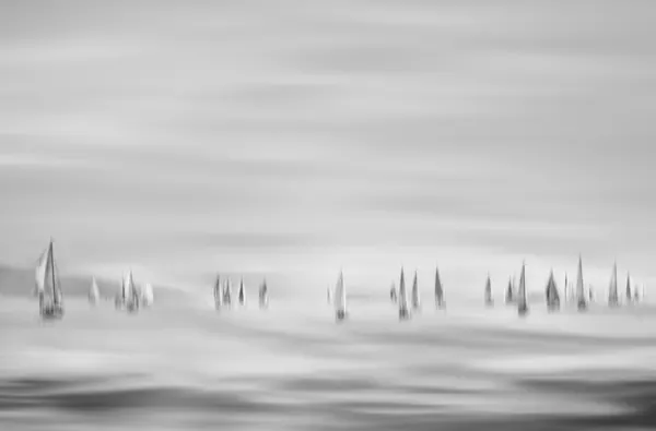 Serene Sailing Regatta by Tamara Brnelić