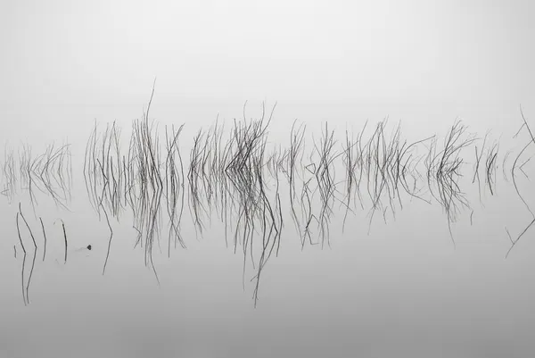 Tranquil Water Reflections by Wei Liu