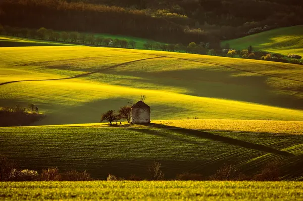 Golden Fields Windmill by Milan Uhrin  AFIAP AZSF