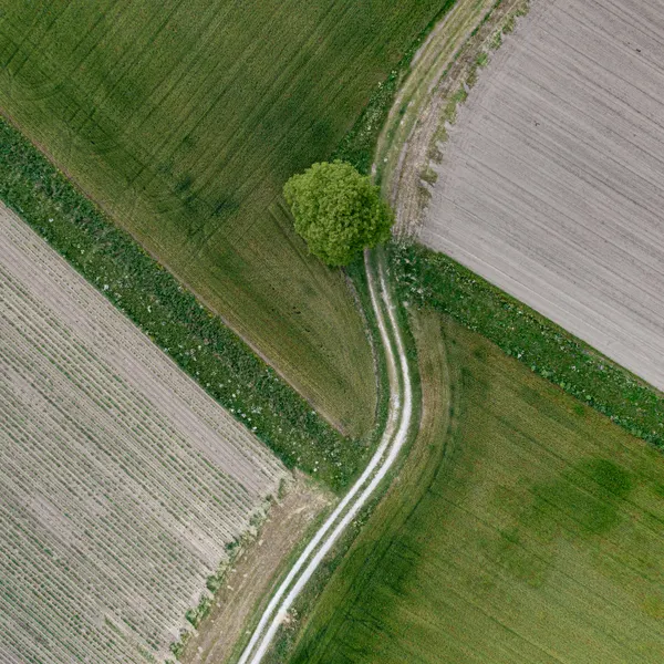 Green Fields Winding Path by Petra Dvorak
