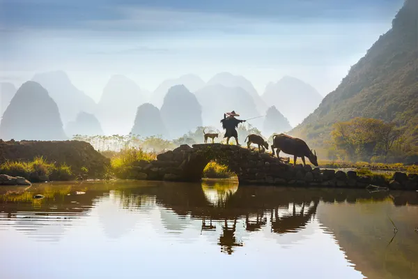 Misty Mountains Stone Bridge by Istvan Kadar