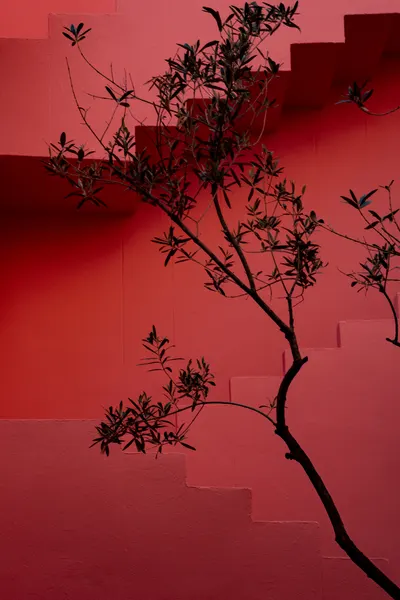 Red Stairs Tree by Linda Wride