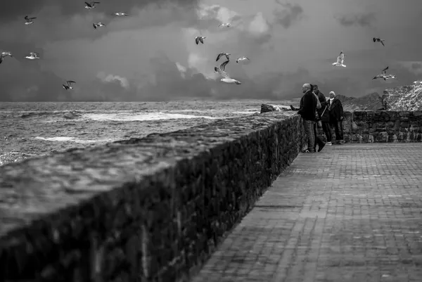 Seawall Watchers Stormy Ocean by Martin Wong