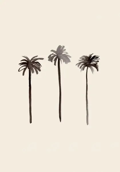 Tropical Palm Silhouettes by Pictufy Studio