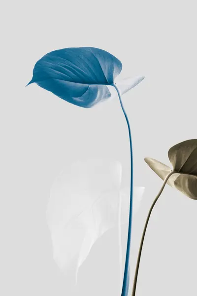 Serene Blue Leaves by Pictufy Studio III