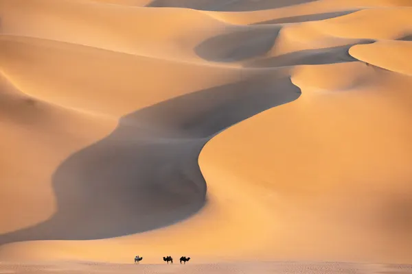 Golden Desert Dunes by Hsiao-Yang Fei