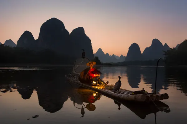 Cormorant Fishing At Dawn by Istvan Kadar