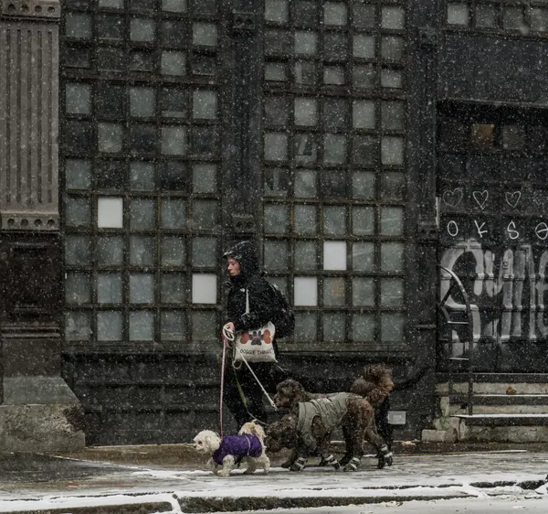 Snowy City Stroll by Tong Zhang
