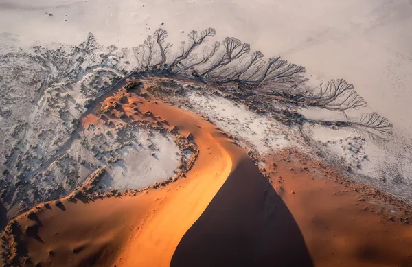 Golden Dune Patterns by Willa Wei