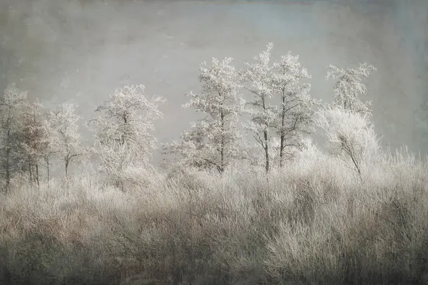 Cold morning by Nel Talen