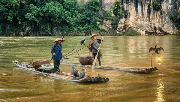 Li River Cormorant Fishing by Tali Stein