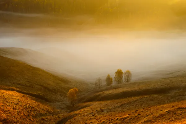Golden Misty Hills by Ovidiu Satmari