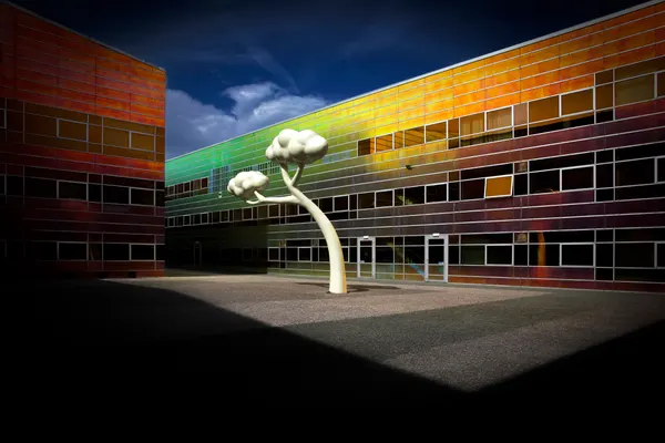 Colorful Building Abstract Tree by Anita Martin AnnaPileaFotografie