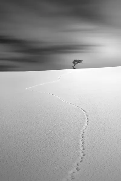 Desert Solitude Path by Jana Luo