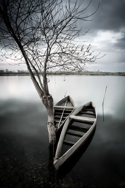 Quiet Lake Boats by Marco Faria