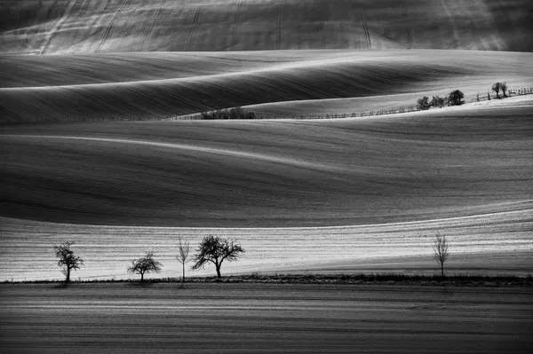 Rolling Winter Fields by Milan Uhrin  AFIAP AZSF