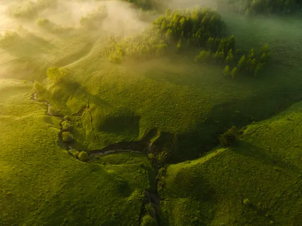 Misty Green Valley Morning by Ovidiu Satmari